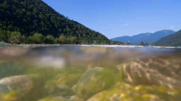 Tourismus Lenggries, Foto: C. Bäck, Isar Lenggries Isar Querschnitt unter Wasser und Oberfläche